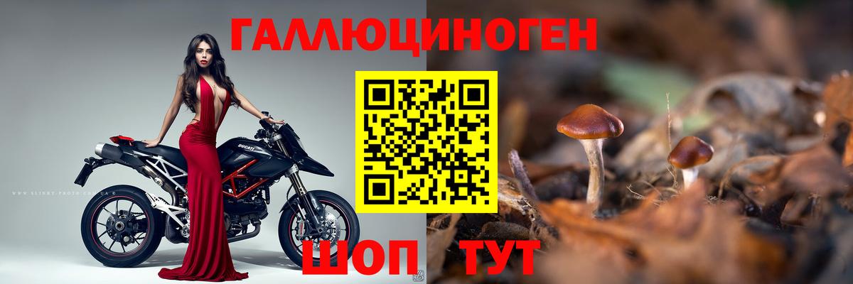 Галлюциногенные грибы мухоморы Камень-на-Оби